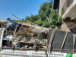 Best Hoarding Cleanup  in Lake St Croix Beach, MN